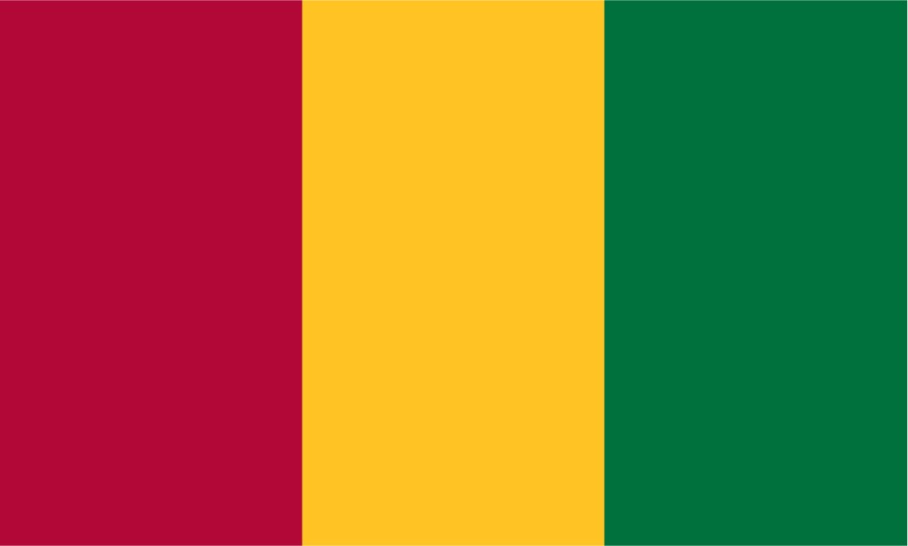 Αφρική: Σημαία Γουινέας gouinea 